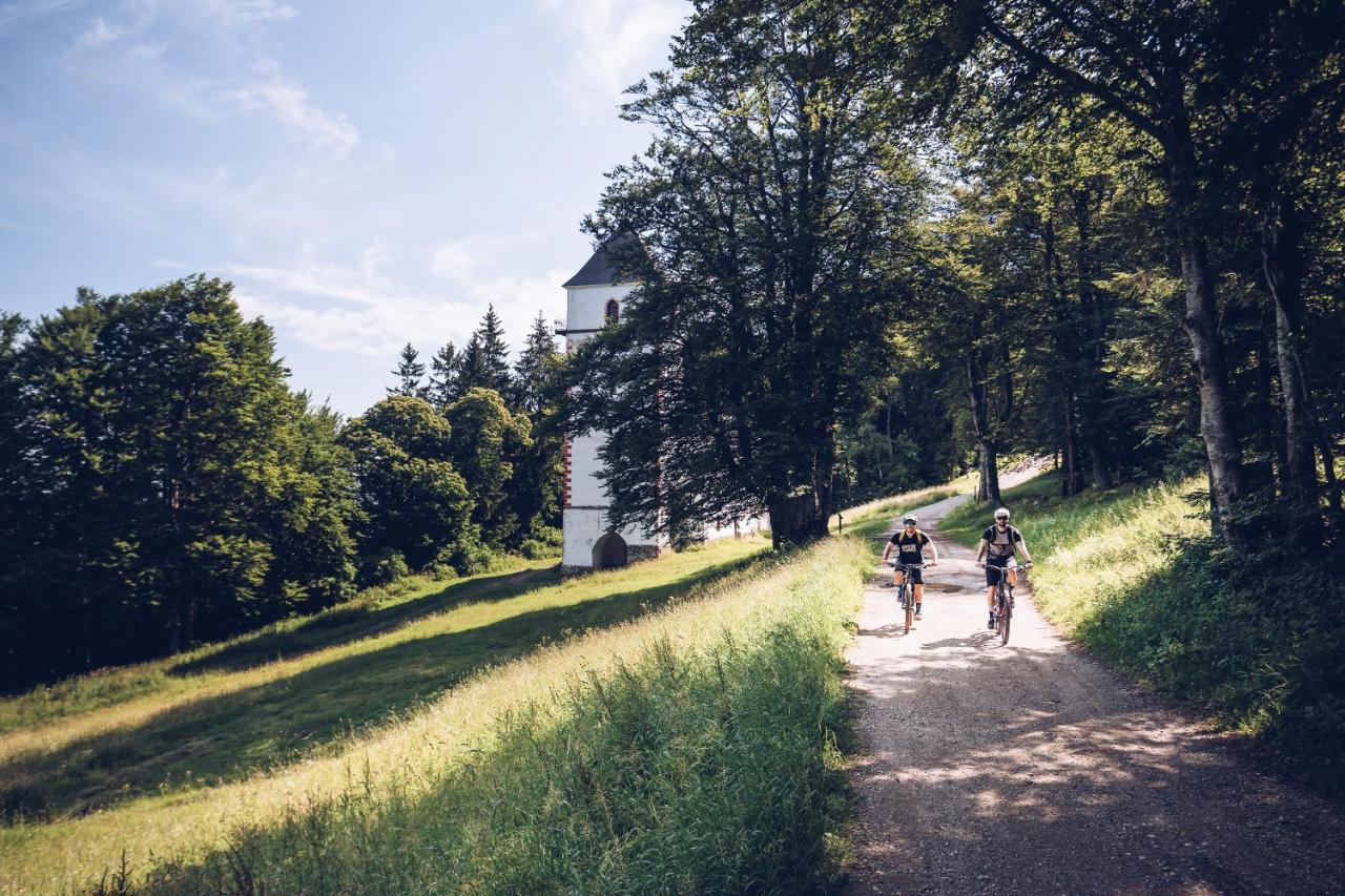 Pohorje Village Wellbeing Resort - Wellness & Spa Hotel Bolfenk 마리보르 외부 사진